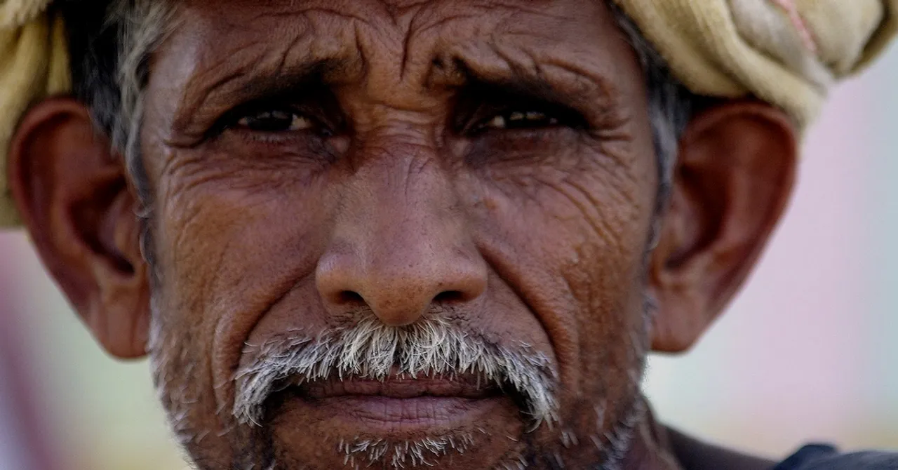 Here's How This IIT-R Researcher is Making Animal Feed Cheaper, Healthier & Local