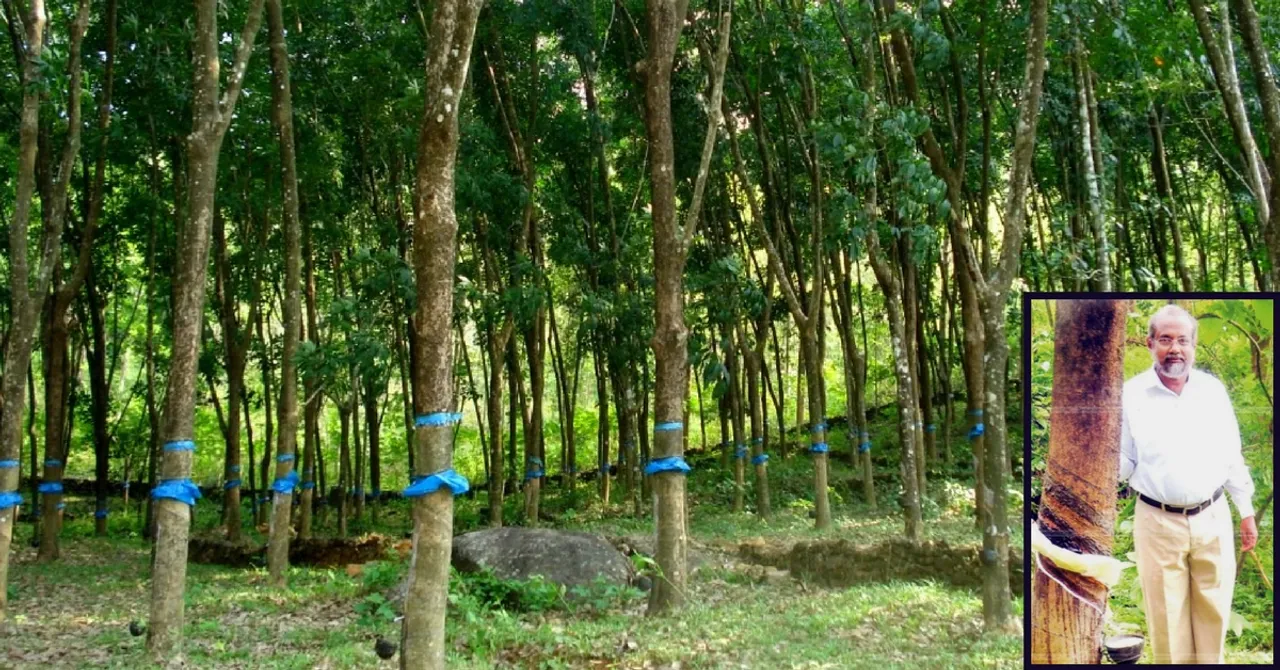 After 35 Years of Experimentation, This Kerala Priest's New Rubber Variety Offers a Double Yield!