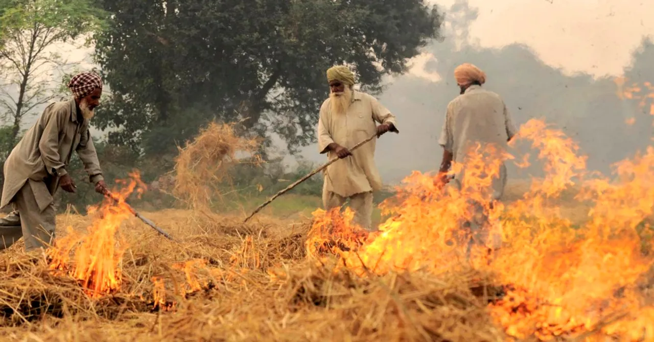 This ₹20 Bottle of Solution Is Punjab Farmers' Answer to Stubble Burning