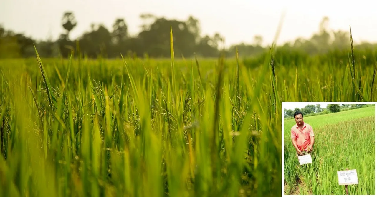 From Politics to Organic Farming, How One Incident Changed the Course of This Man's Life