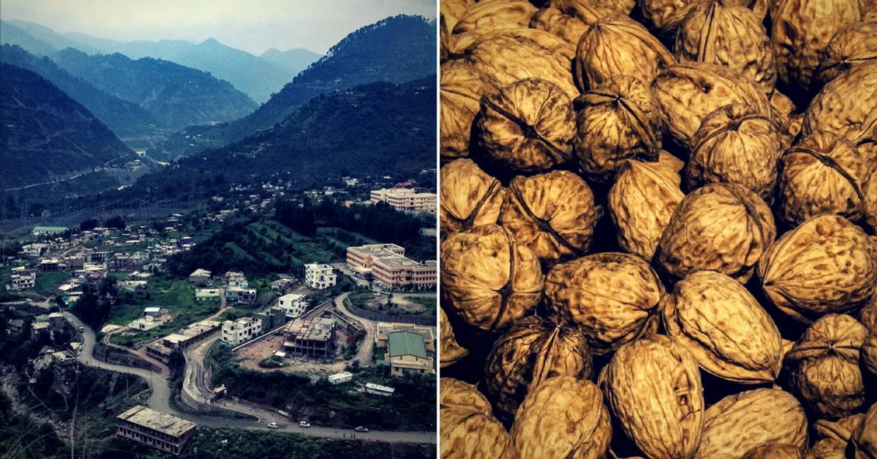 Now, Kashmir's Discarded Walnut Shells Can Be Used to Make Batteries!