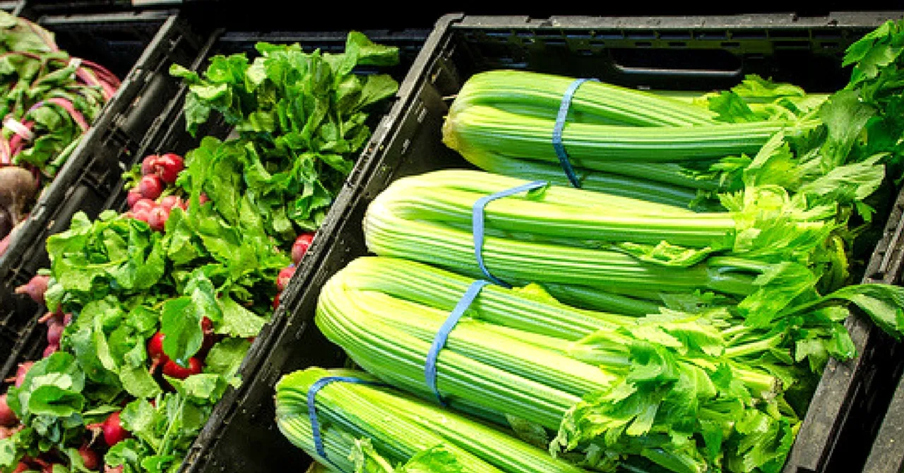 This Box Will Keep Your Veggies Fresh for Two Days, Without Refrigeration!