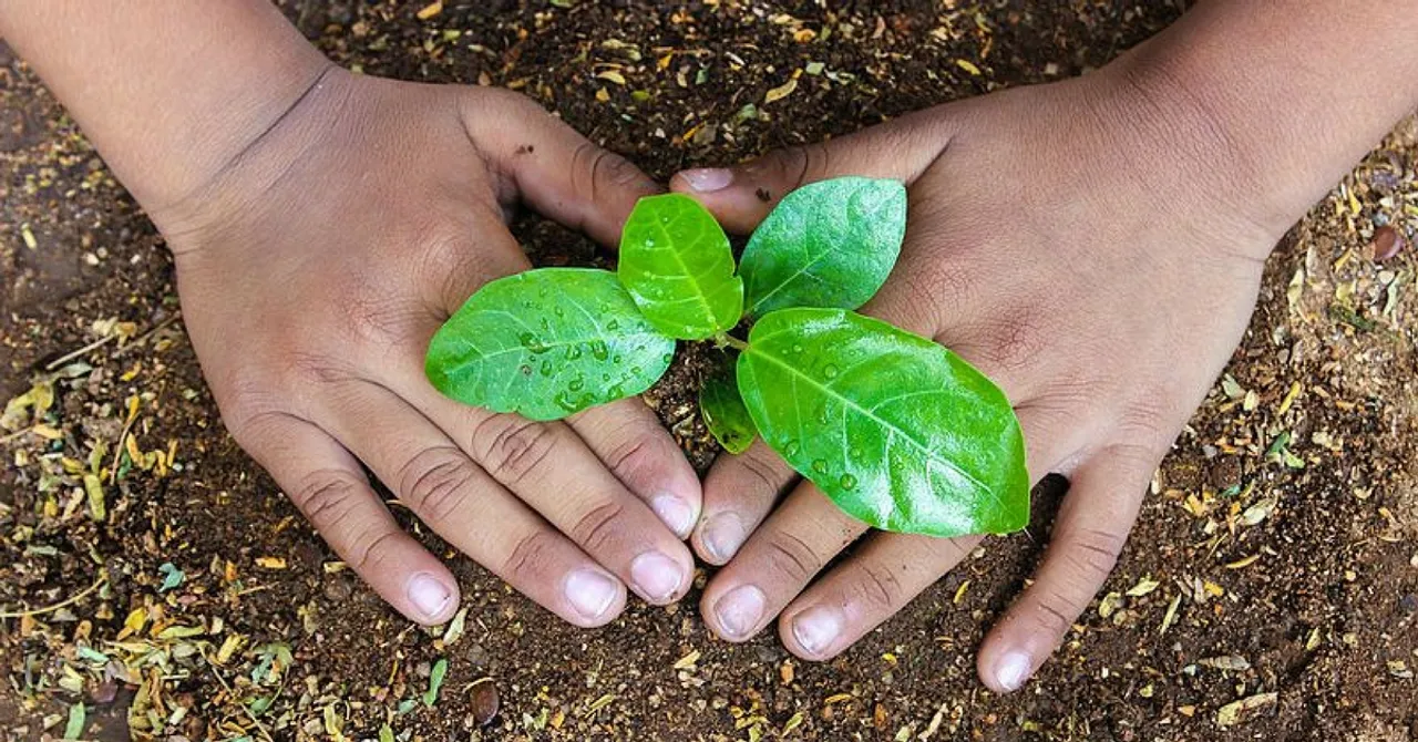 Kitchen Gardens All Set to Make Uttar Pradesh's Schools Green and Healthy