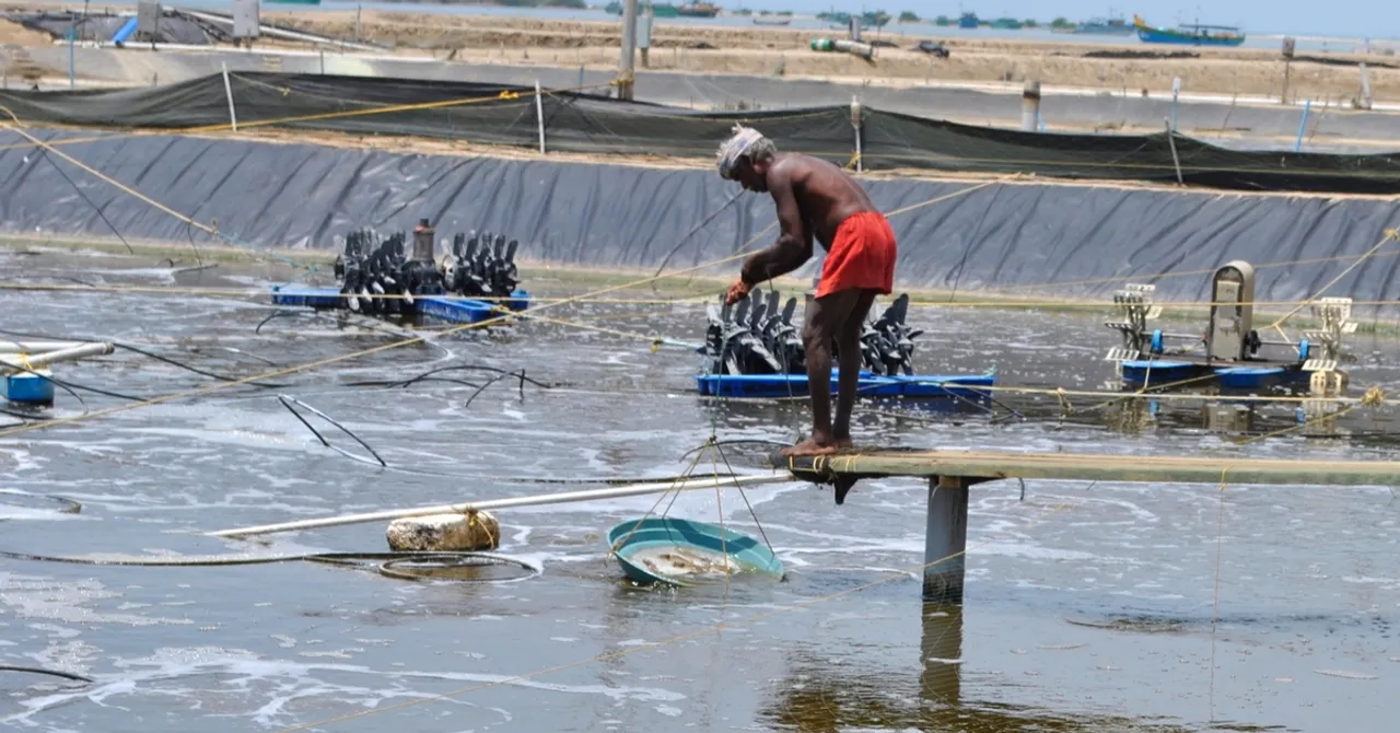 This IIT Alumnus Has Changed the Lives of More Than 600 'Aquafarmers'. Here’s How!