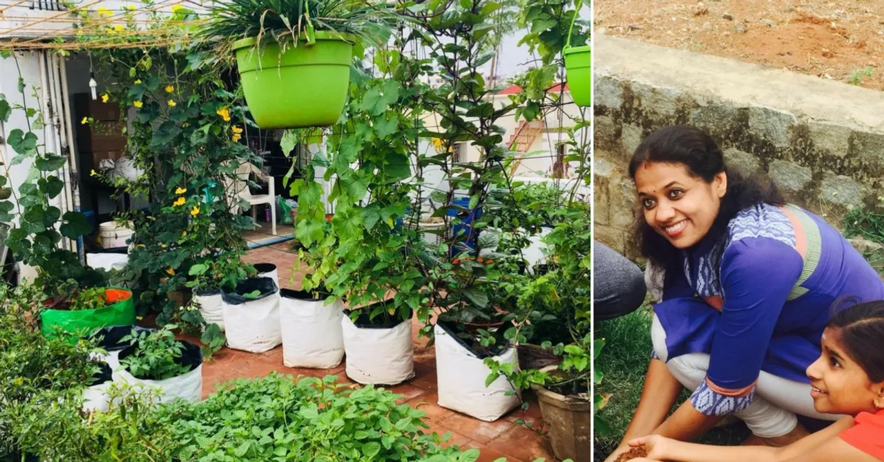Using No Pesticides, This Lady Grows Over 34 Veggies & Fruits on Her Rooftop!
