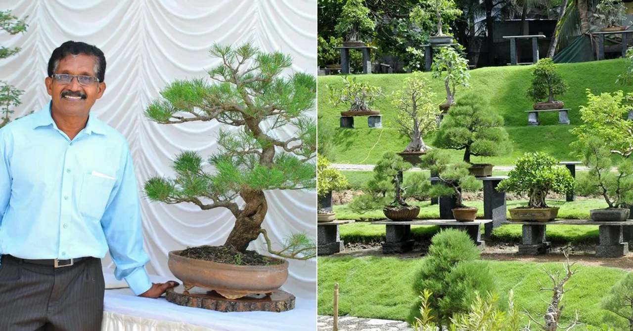 Kerala Man Left a Career in Law to Make South India's Biggest Bonsai Garden