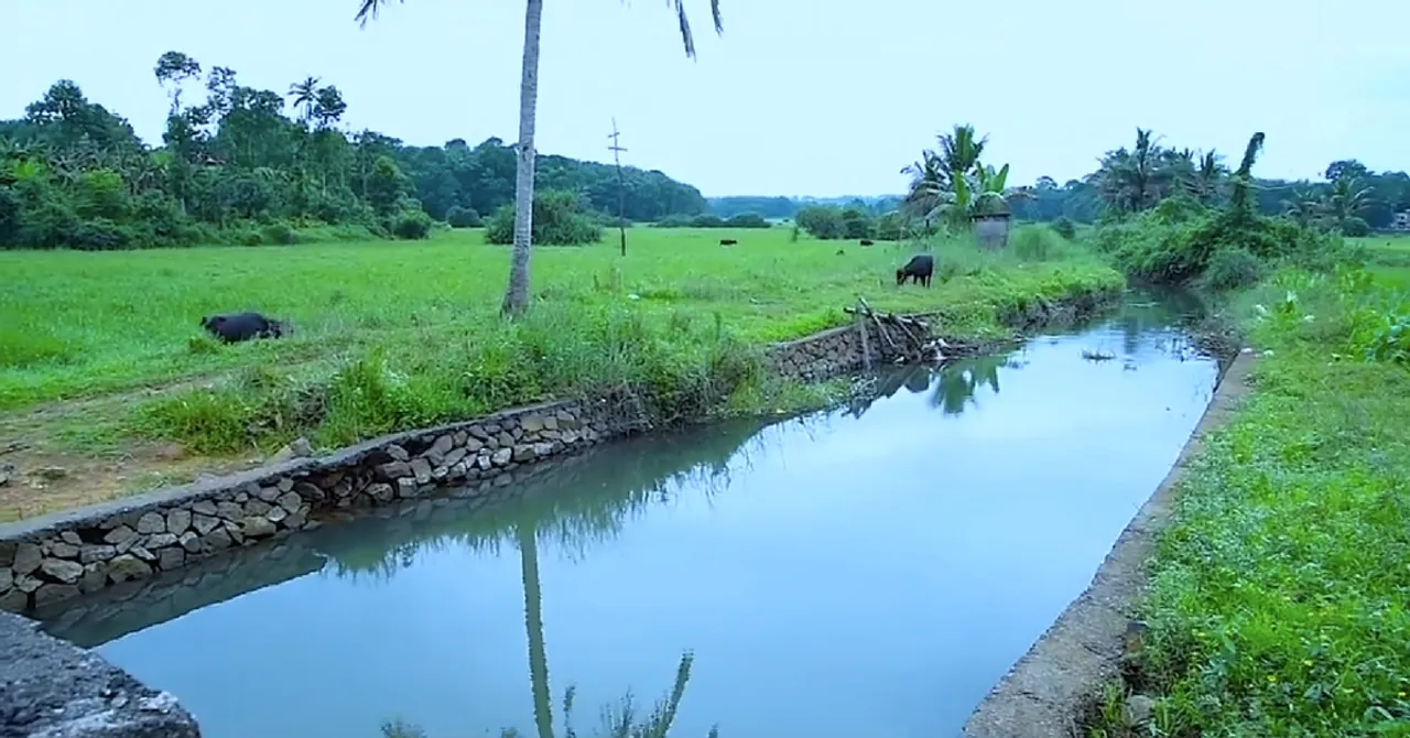 This May, Kottayam Will Join Hands & Hearts to Revive Its Precious 'Lifelines'!