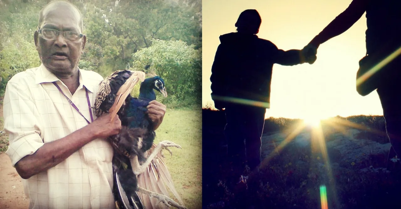 100 Birds & Counting: A Grandfather's Last Wish Fuels This 'Peacock Valley'
