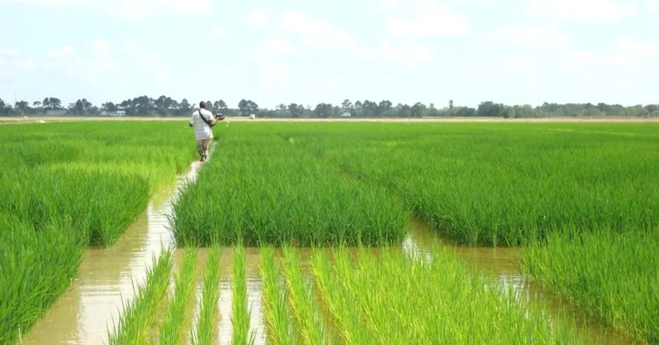 NABARD's New 'Water Atlas' to Help Farmers Get the Water They Need, Lower Wastage