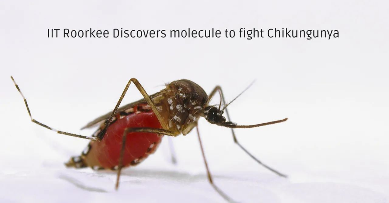 In a Big Breakthrough, IIT Roorkee Finds Molecule That Can Kill Chikungunya Virus!