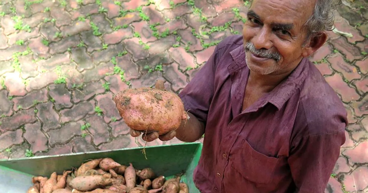 Kerala Govt's Smart Kitchen Gardens Will Let You Grow Your Own Food at Home!