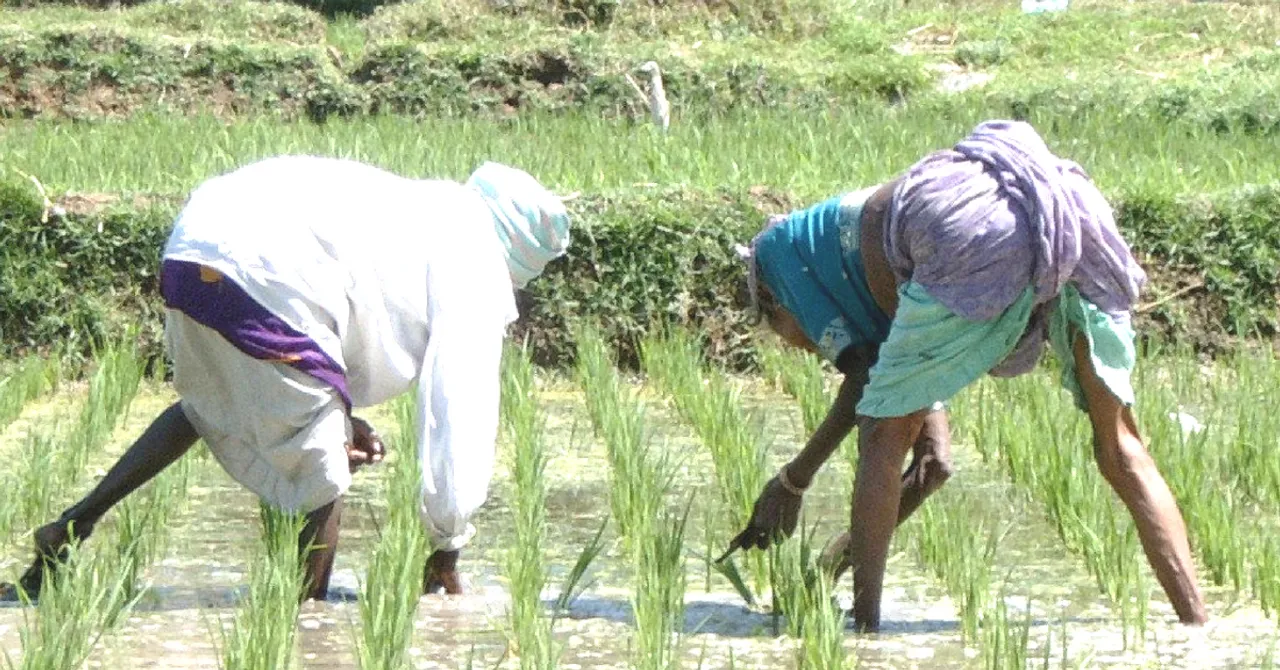 Karnataka Polls: Parties Promise Loan Waivers For Farmers But Do They Work?