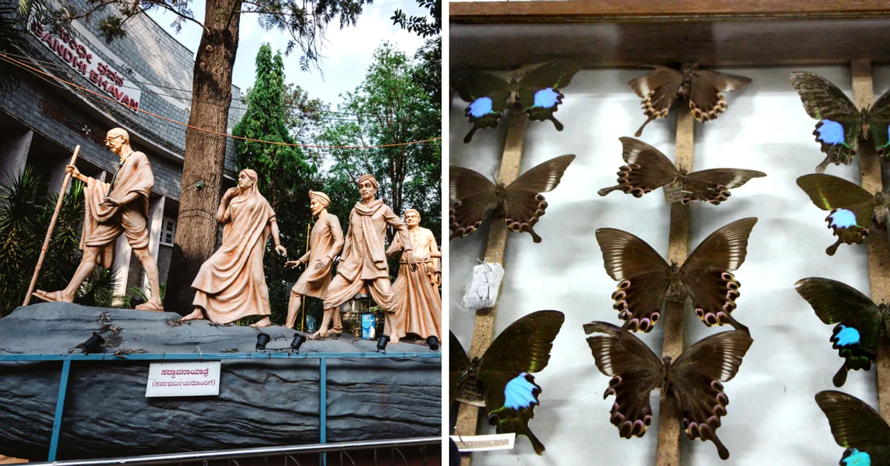 Butterflies, Brains, Turbans & Trains: India's Many Museums All On One Website!