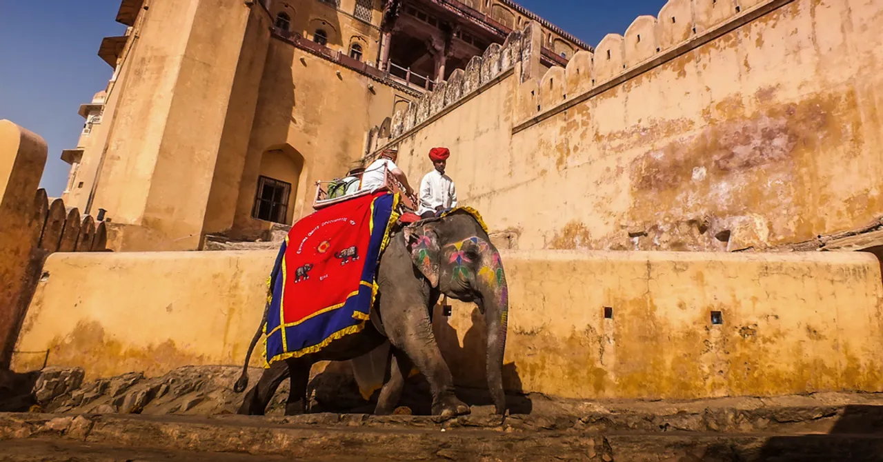 How a 10-Year-Old Elephant Found a Guardian Angel in Rajasthan's Judiciary