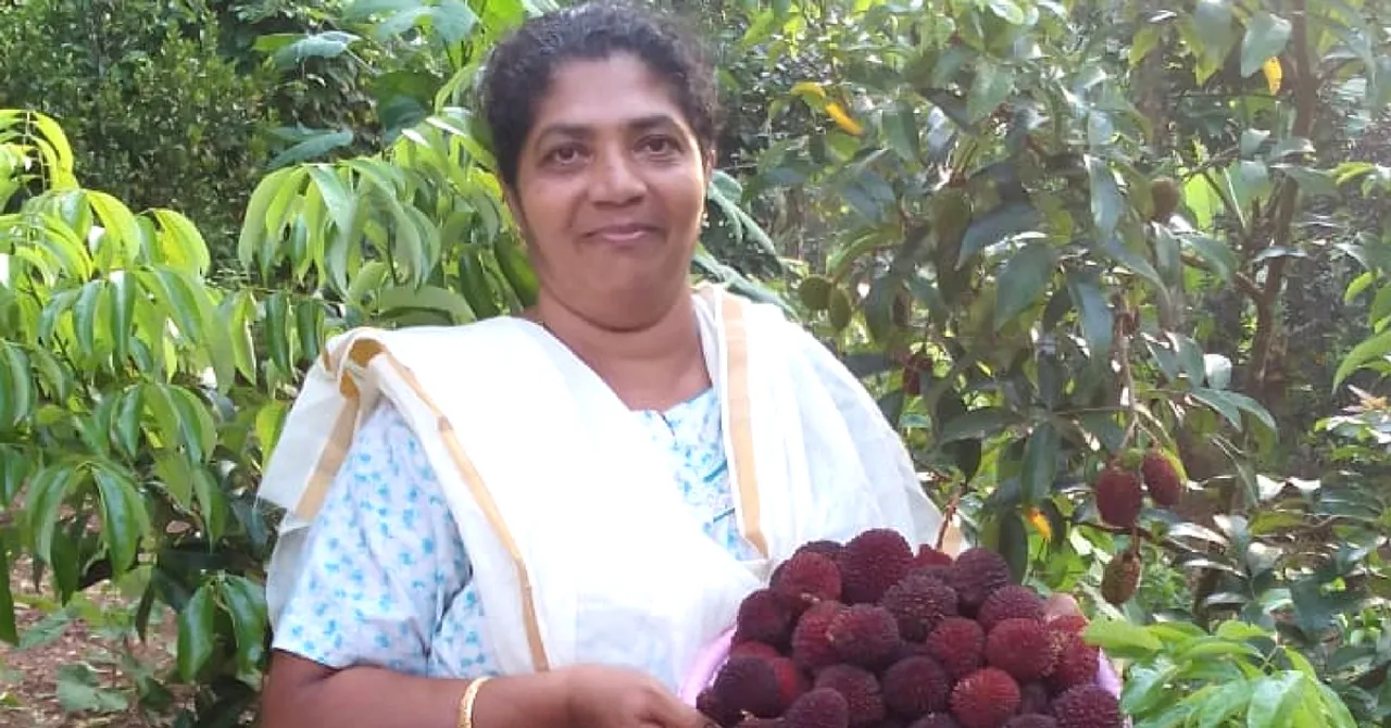 350 Fruits & a Mother's Legacy: The Touching Story of a Unique Kerala Farm!