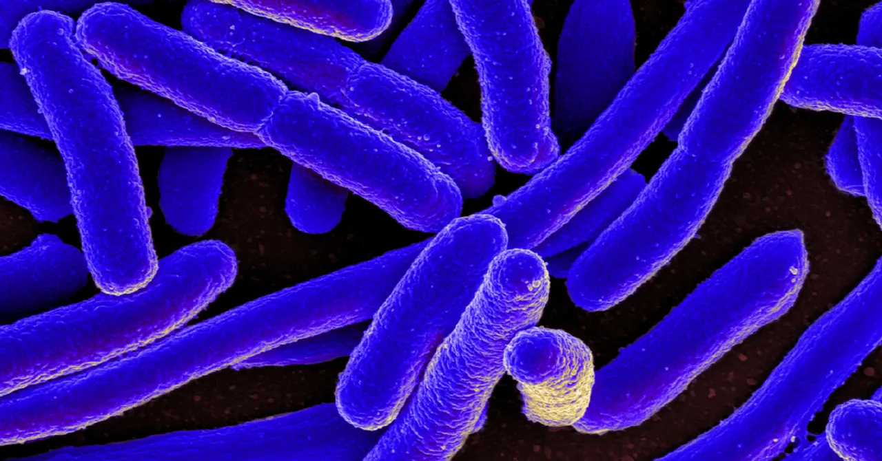 Powered By Bacteria, This Low-Cost Solar Cell Can Work Even Under Cloudy Skies!