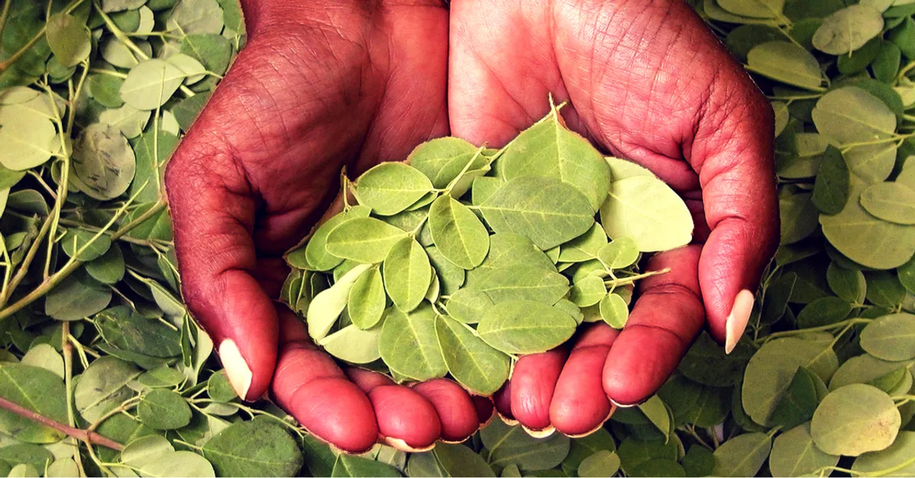 Gujarat Govt. Will Soon Be Using This Desi Superfood to Fight Malnutrition!