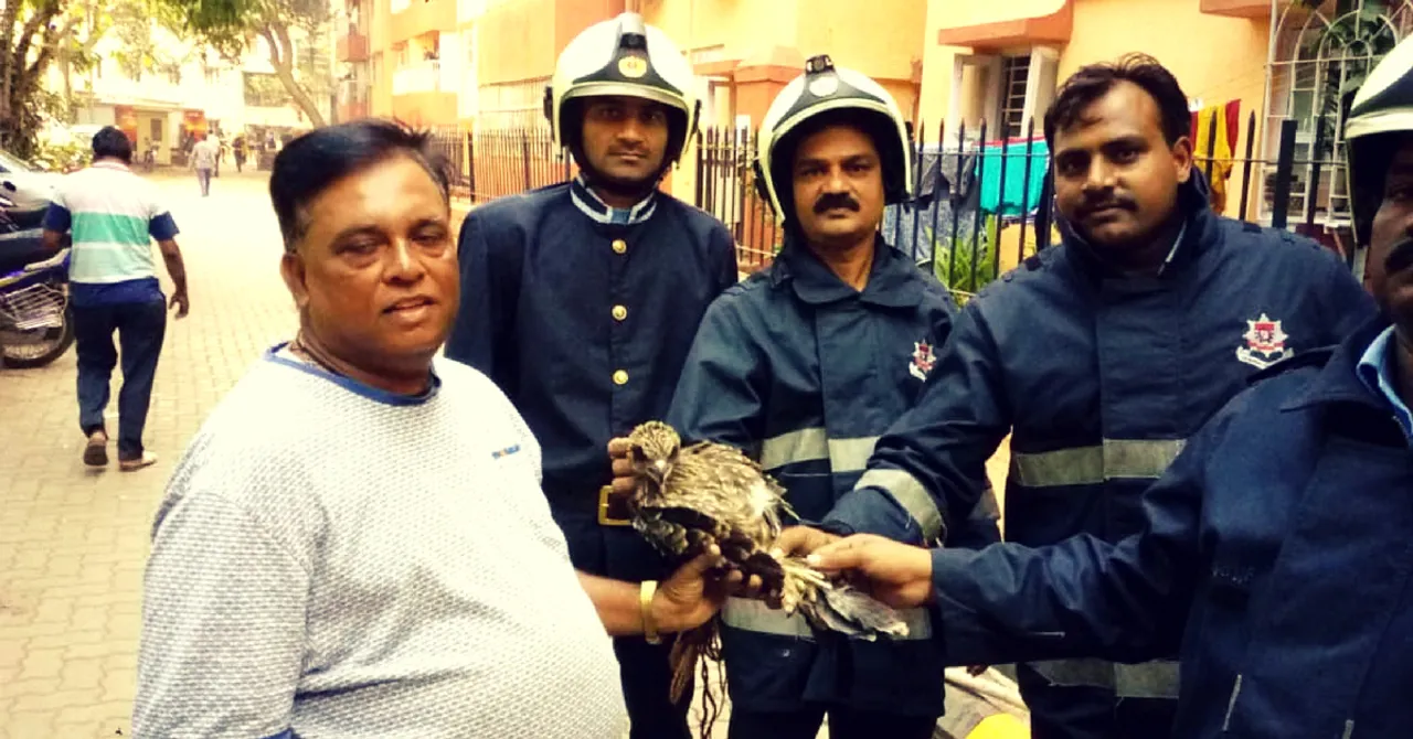 Cabbie by Day, Animal Rescuer Always: 51-YO Mumbaikar's Taxi Is Like No Other!