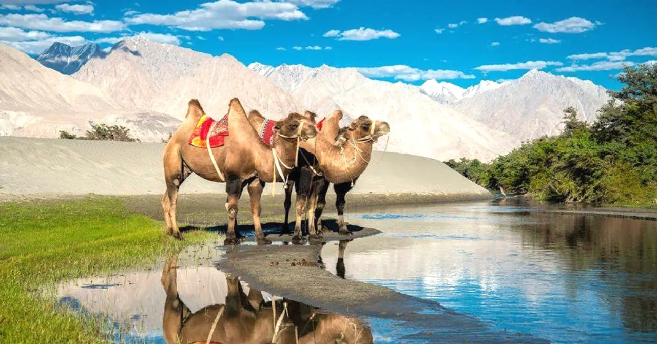 The Fascinating Story of the Unique 'Central Asians' Who Were Left Behind in Ladakh!