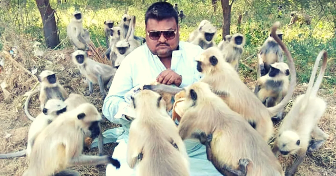 Meet Ahmedabad's Monkey Man who Has Been Feeding 500+ Langurs For the Last 10 years!