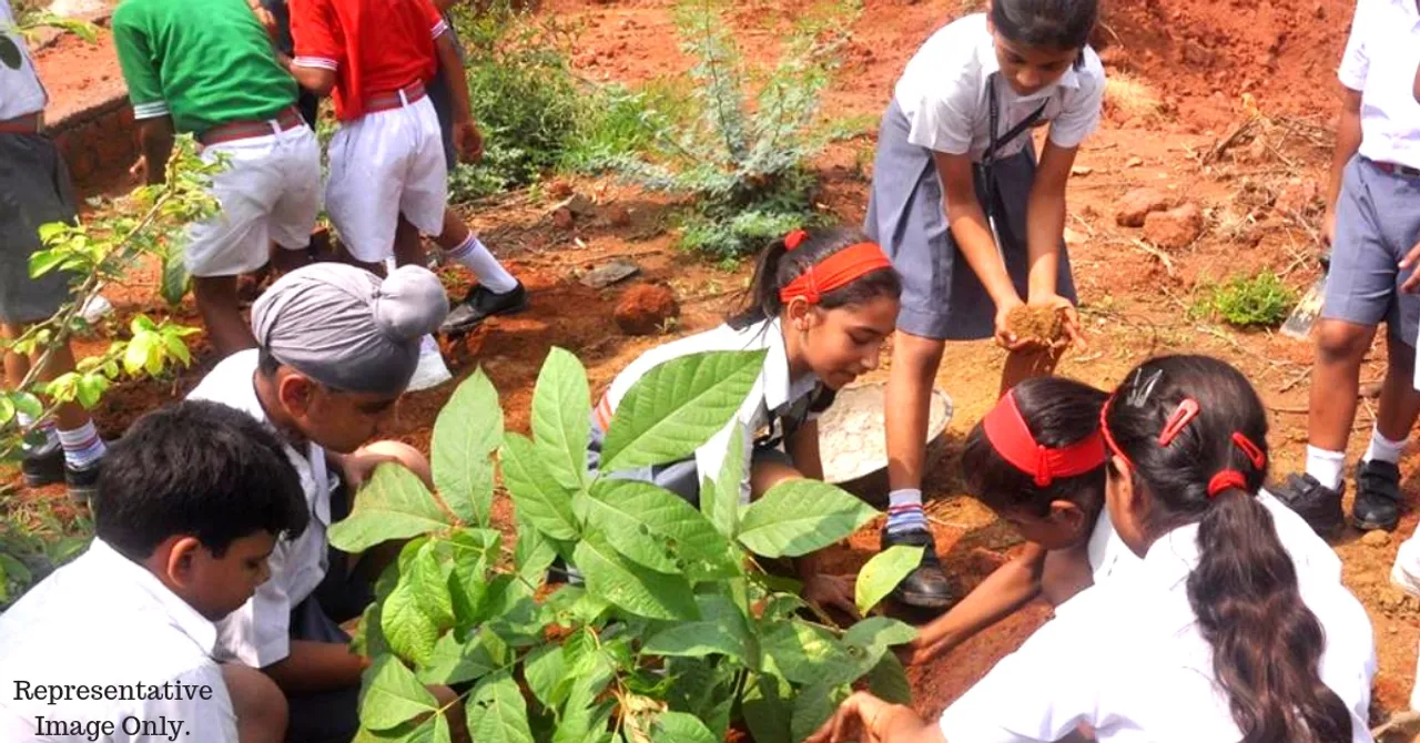 K'taka Forest Dept's Proposal For Students: Plant Saplings, Get Extra Marks in Boards!