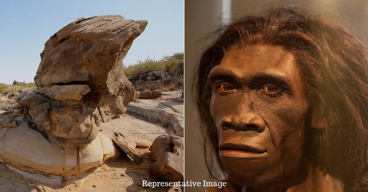 11 Million-YO Ape Fossil Discovered in Gujarat: Here Is Why It's a Momentous Find!