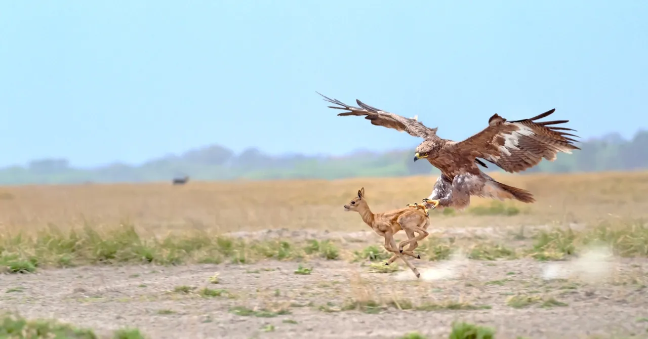 Showcasing India's Natural Heritage, 3 Jaw-Dropping Photos Will Leave You Wowed!