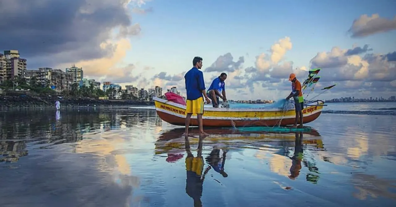 Maharashtra to Reward Fishermen Who Release Rare Marine Animals from Their Nets!