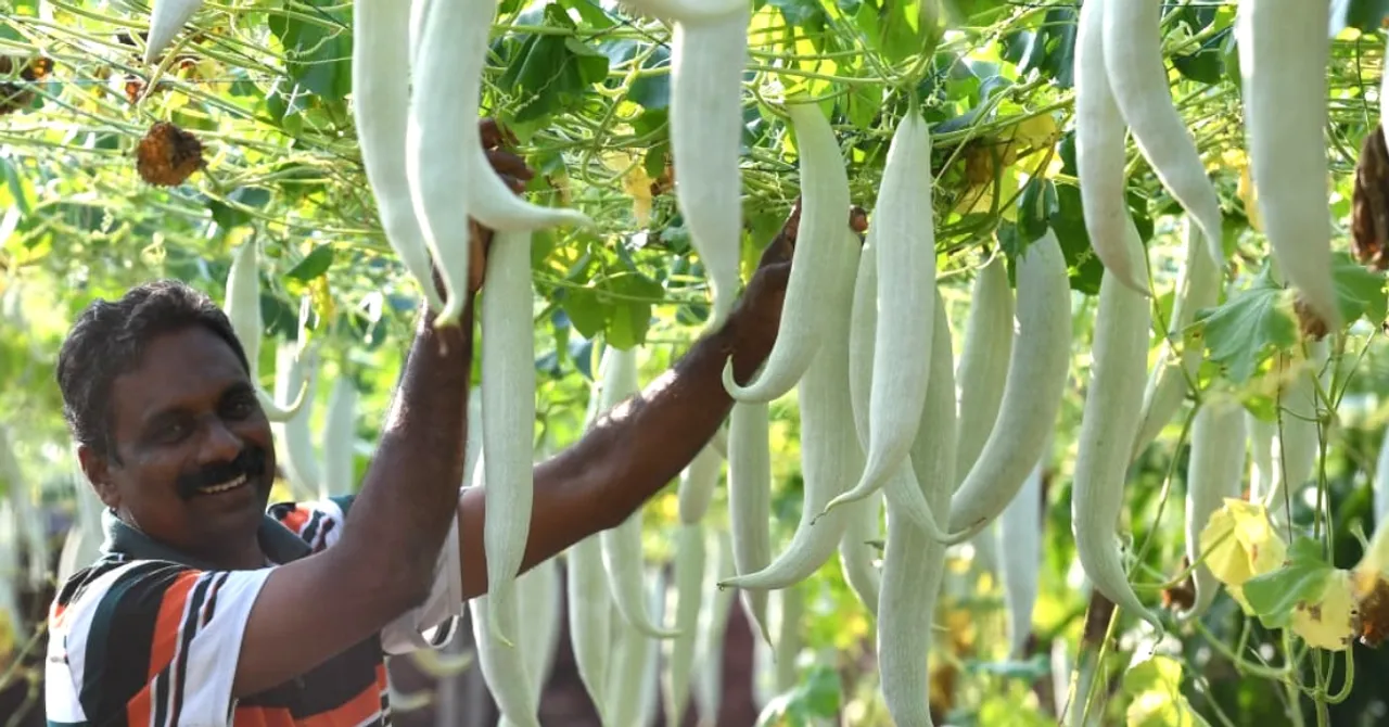 From Home to Police Station, This Kerala Cop's Green Thumb is Reaping Rich Harvests