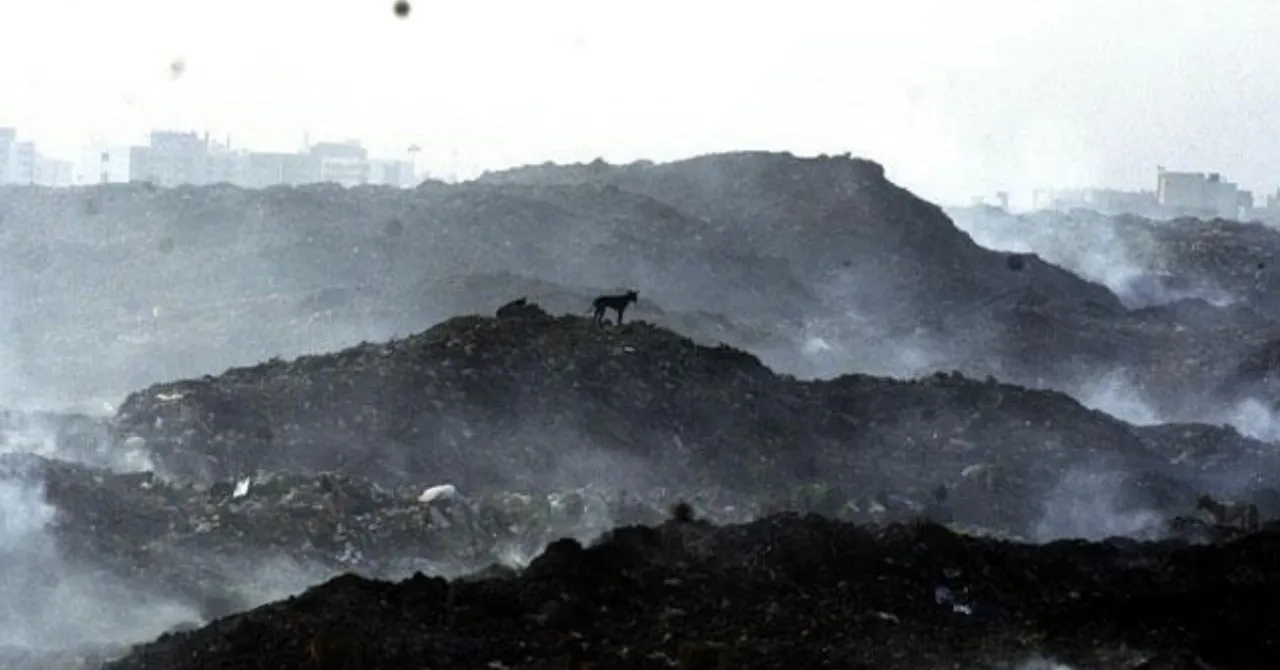 Indore IAS Officer Clears 13 Lakh Tons of Garbage from 100 Acres in 6 Months!