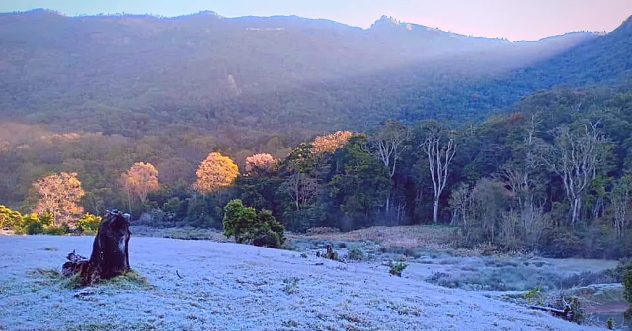 Frost Turns Kerala's Munnar Into Winter Wonderland. Check Out 10 Gorgeous Pics!