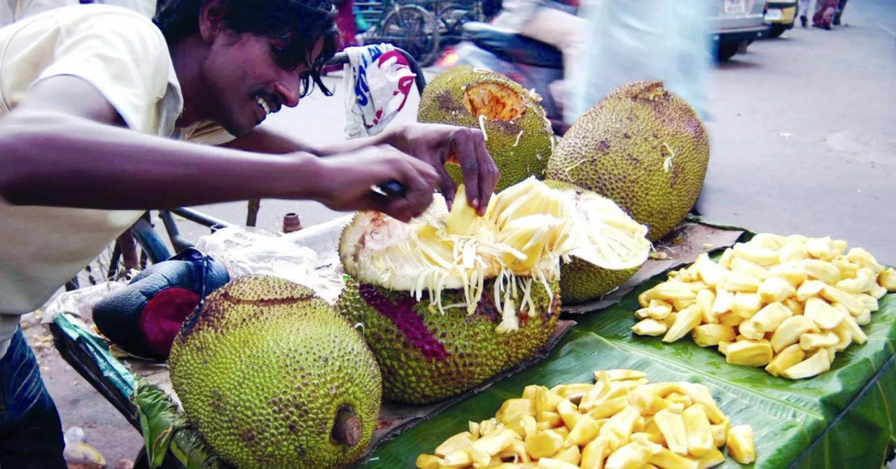 With Jackfruit We Stand: Dear Guardian, Here's Why India Loves This 'Pest-Plant'