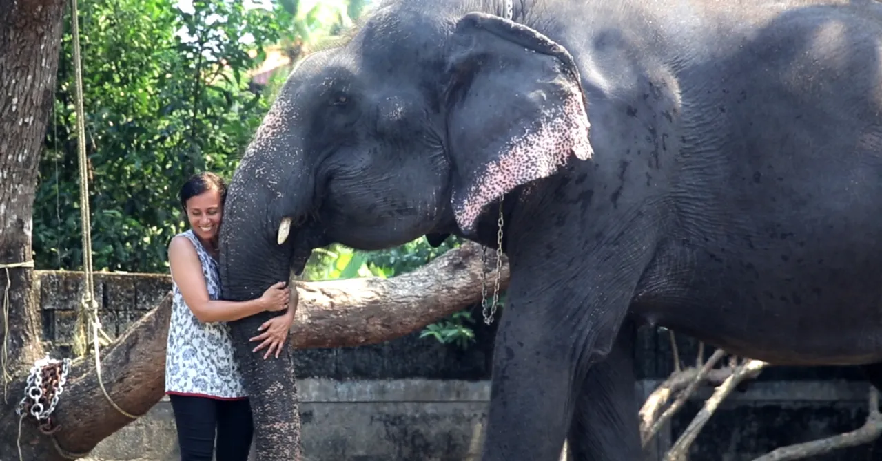 Meet the Kerala Woman Fighting with All Her Might to Protect India's Elephants from Abuse