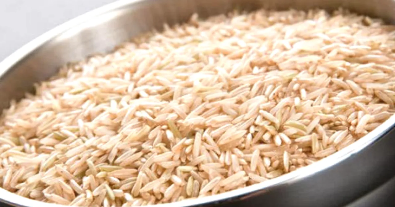 #FoodSecrets: Bamboo Rice Tastes like Wheat & Grows Just Twice or Thrice in a Century!