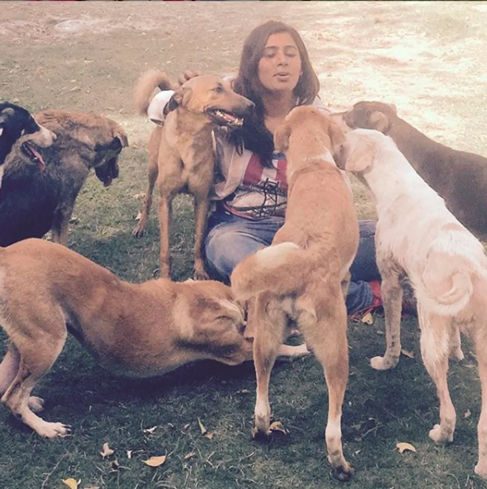 Noida Woman Saves 80+ Injured & Disabled Dogs From Mercy Killings, Gives Them a Secure Life!