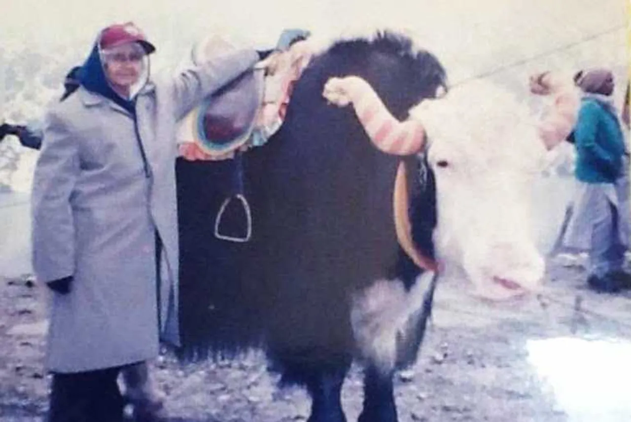 Shattering Stereotypes: 6 Senior Citizens Who Defied Age to Do Amazing Things!