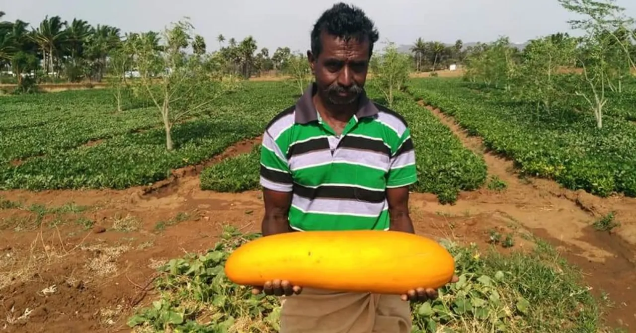 Engineering Dropout to Organic Farmer Growing 300+ Native Veggies: TN Man's Inspiring Story!