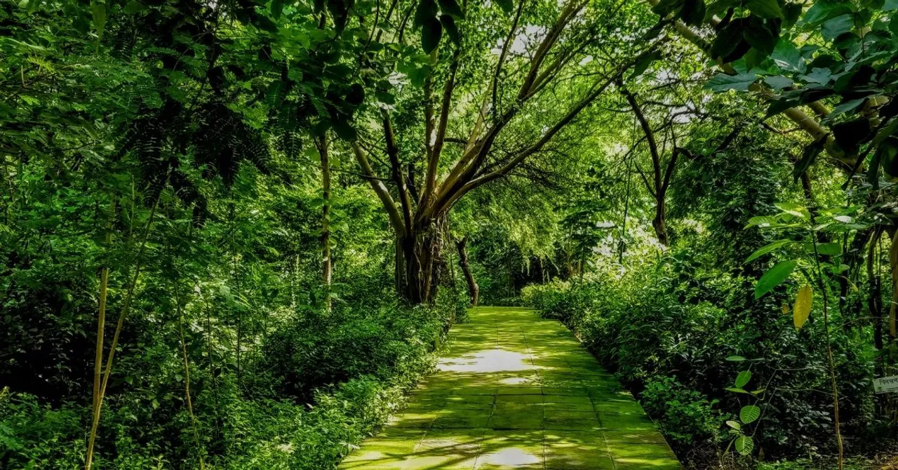 Abandoned Park to Lush 'Airlung': Here’s How You Can Build One For Your City!