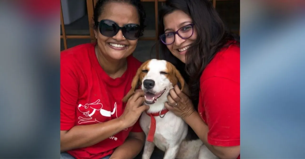 Once Caged, 465 Lab-Test Beagles Find Loving Homes - Thanks to 2 B'Luru Women!