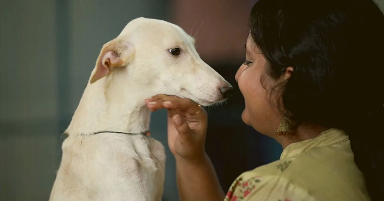 After 12K Rescues, Mumbai NGO Teams Up With TikTok To Give Doggos Forever Homes!