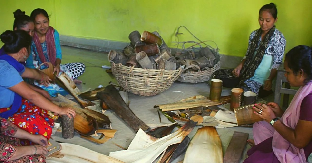 Andaman Officer Replaces Plastic Bags In Forest Nurseries With Areca Leaf Sheaths!
