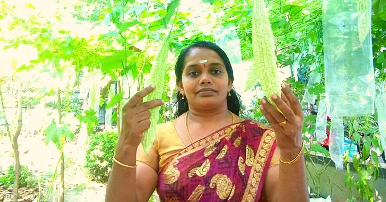 Kerala Woman's Backyard Polyhouse Gives Her Organic Veggies & Rs 20000/Month!
