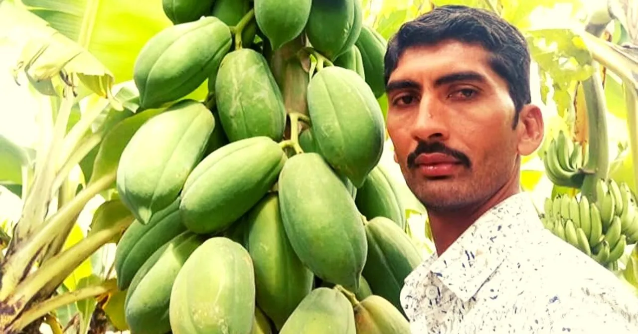 Zero-Budget Natural Farming Doubles Gujarat Farmer’s Income In Just 6 Months!