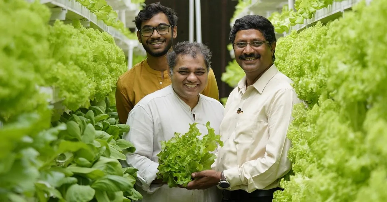 Soil-less & Vertical, This Style of Farming Will Reduce Water Usage By 95%!