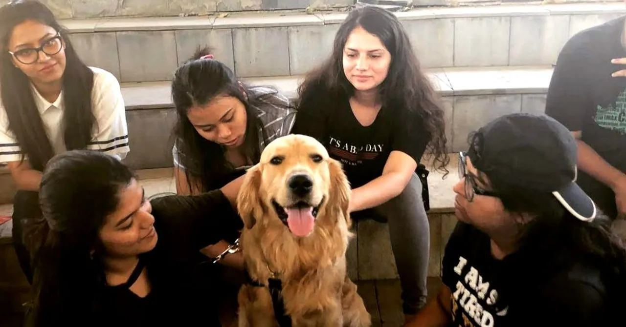 Punekars, These Therapy Dogs are all You Need to Fight Stress This Weekend