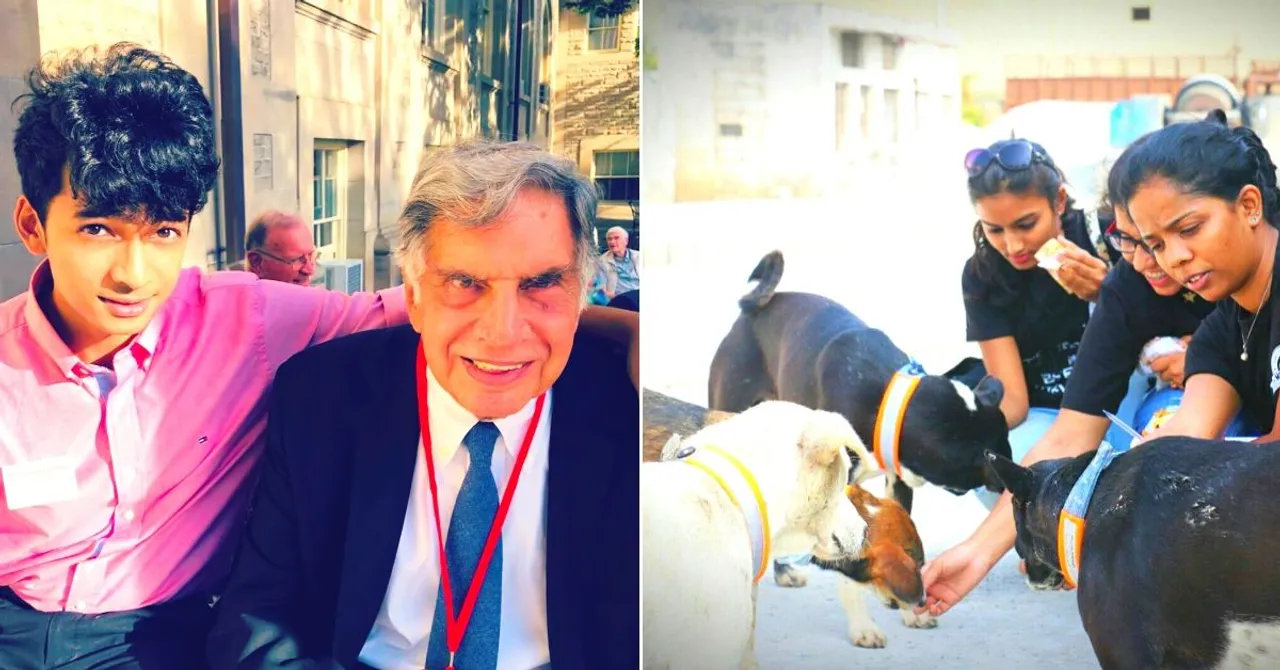 Pune Man's Innovation for Stray Dogs Impressed Ratan Tata, Got Him a Dream Job!