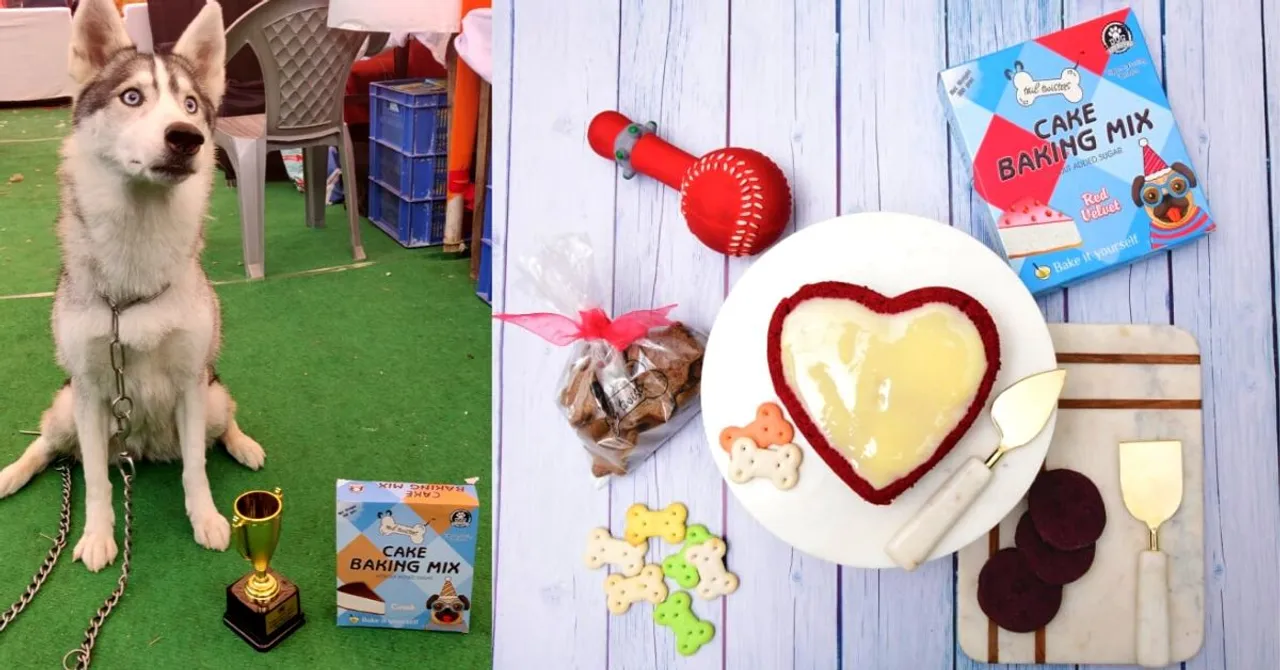 Need a Perfect Pet Treat? Check Out This Startup's Healthy & Tasty Canine Cakes
