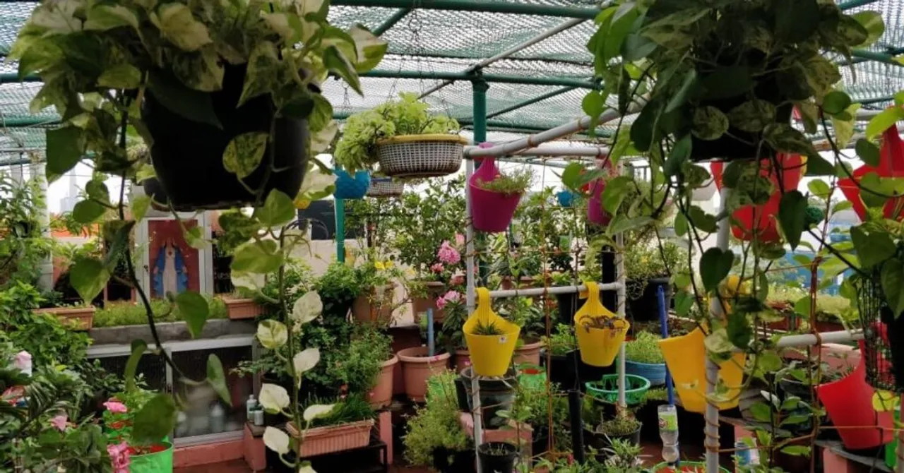 Organic Food & Rainwater Harvesting: Chennai Woman's Zero-Waste House is Goals