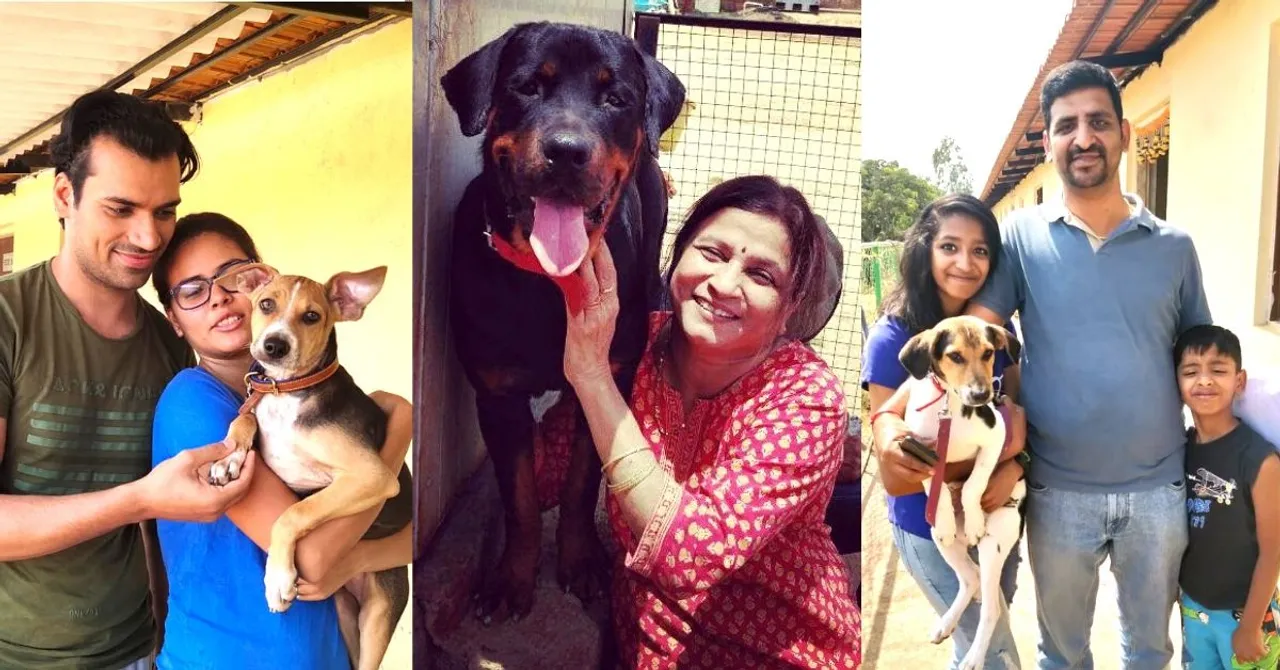 How to Adopt a Dog in India: 6 Steps to Follow