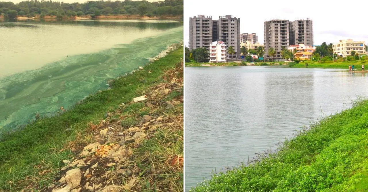 Woman Scientist Revives 100-Acre Bengaluru Lake, Now Teaches Others How to Do It